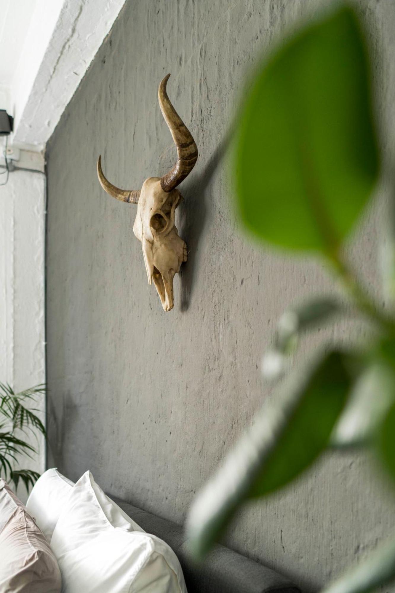 Urban Fox Penthouse By Curiocity Johannesburg Esterno foto